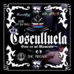 Cosculluela - Este Es Mi Momento